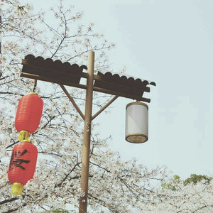 穿越成肉奴的婬乱生活
