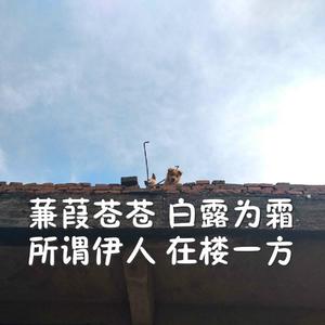 穿越成肉奴的婬乱生活
